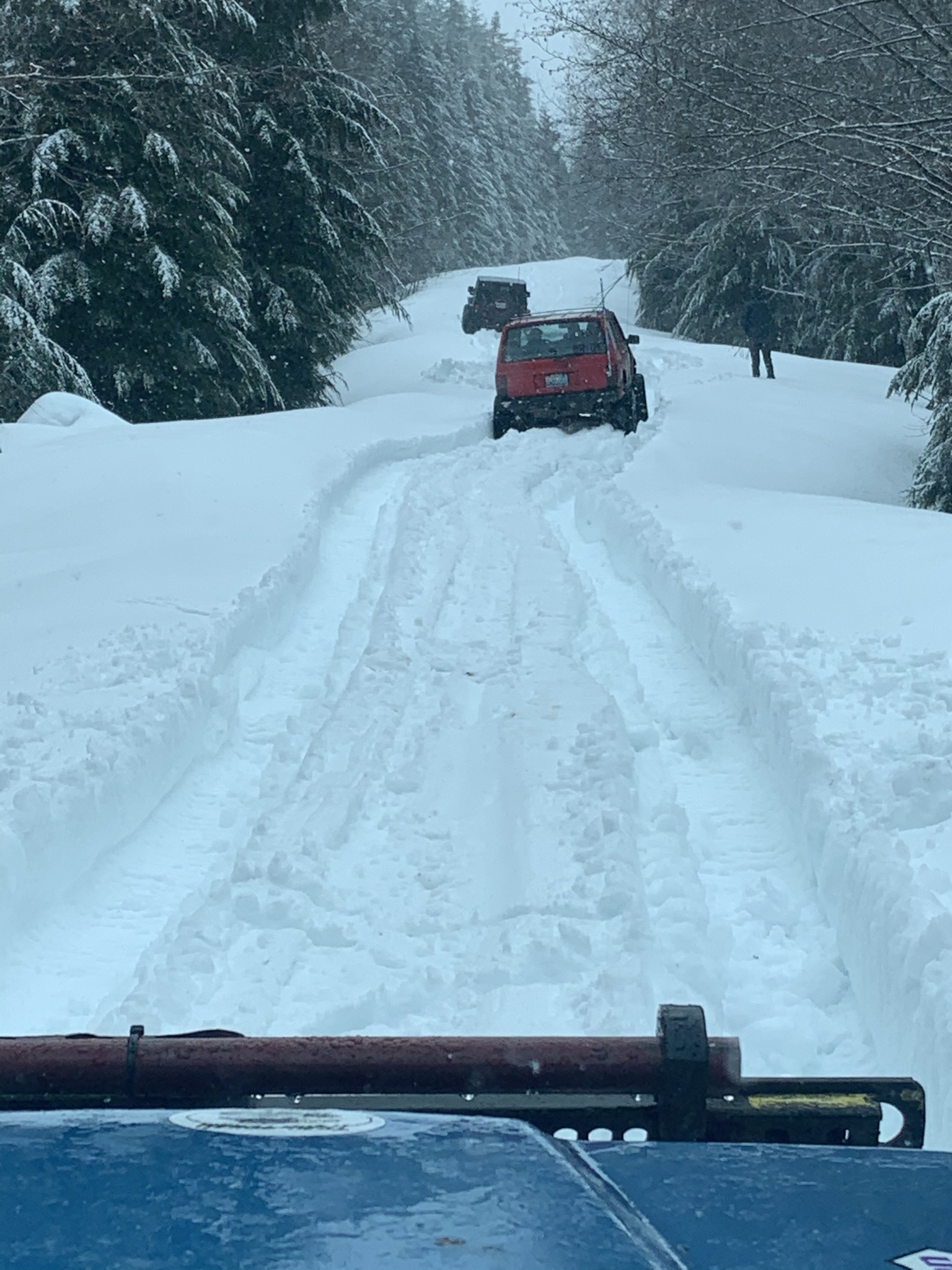 Cumberland/Finney Creek Pass Mar 2021 Timber Tamers